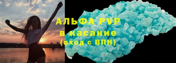 индика Аркадак