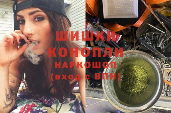индика Аркадак