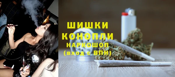 индика Аркадак