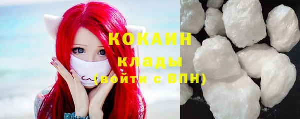 индика Аркадак