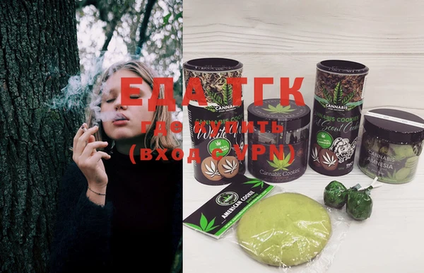 индика Аркадак