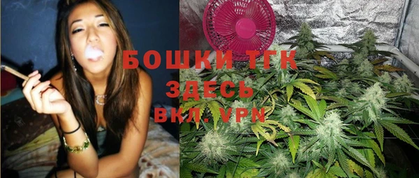индика Аркадак
