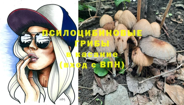 индика Аркадак