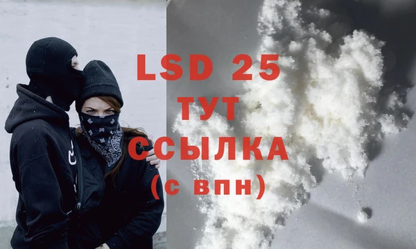 индика Аркадак
